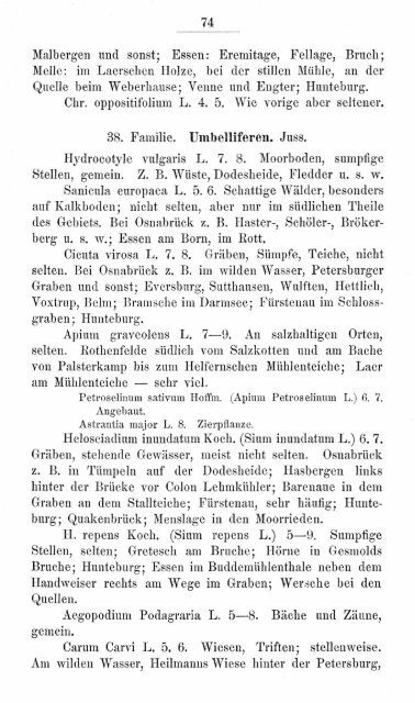 buschbaum_1880_zur_flora.pdf