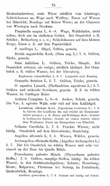 buschbaum_1880_zur_flora.pdf