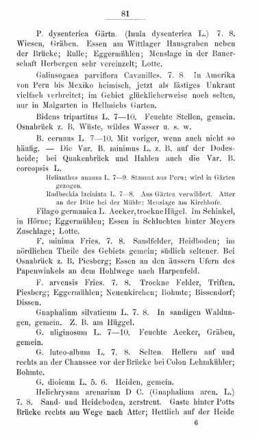 buschbaum_1880_zur_flora.pdf