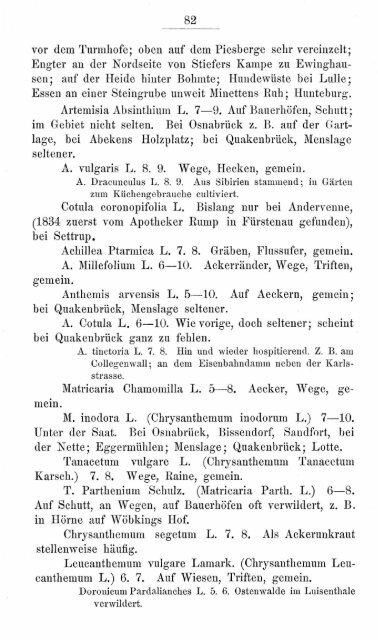 buschbaum_1880_zur_flora.pdf