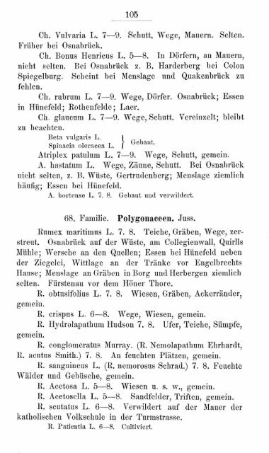 buschbaum_1880_zur_flora.pdf