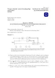 Norges teknisk–naturvitenskapelige universitet NTNU Institutt for ...