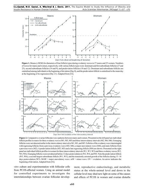 2011 (SBTE) 25th Annual Meeting Proceedings - International ...