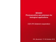 BIOAZO - Photosensitive azo-polymers for biological ... - IFA