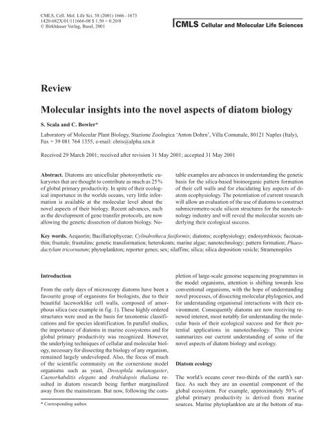 Review Molecular insights into the novel aspects of diatom biology
