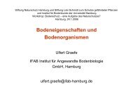 Bodeneigenschaften und Bodenorganismen