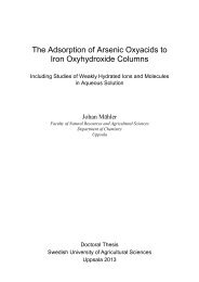 The Adsorption of Arsenic Oxyacids to Iron Oxyhydroxide Columns