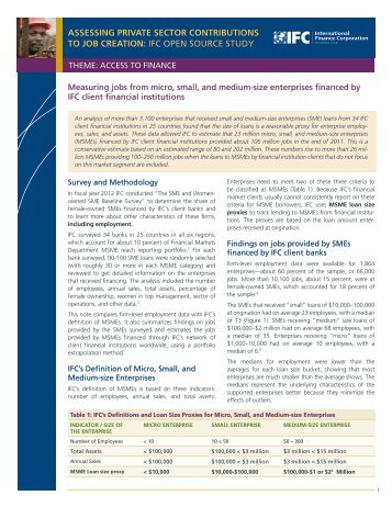 Measuring jobs from micro, small and medium-size enterprises ... - IFC