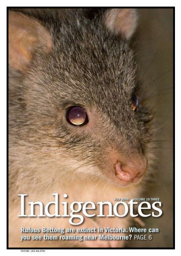 Here - Indigenous Flora and Fauna Association