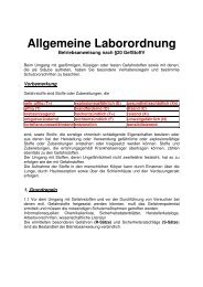 Allgemeine Laborordnung - Institut für Geowissenschaften