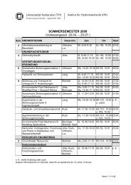 INSTITUT FÃR HYDROMECHANIK - IfH