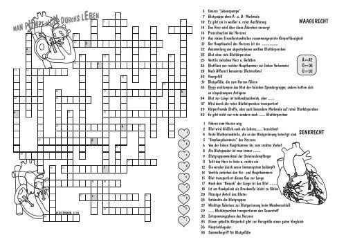 Pdf Datei Blume Programm