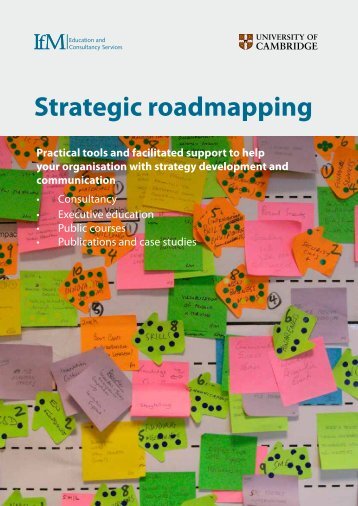 Strategic roadmapping - Institute for Manufacturing - University of ...