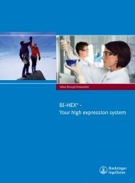 BI-HEX® - Your high expression system - Boehringer Ingelheim