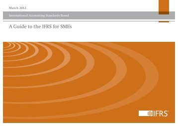 Guide to the IFRS for SMEs - International Accounting Standards ...