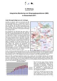 16 IMS-Bericht_Endversion - Beringungszentrale Hiddensee