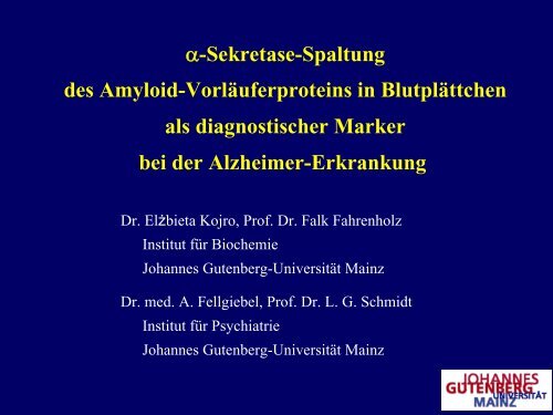 Vortrag beim FrÃ¼hjahrsmeeting 2007 (616 KB) - IFZN - Johannes ...