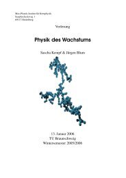 Physik des Wachstums - Institut fÃ¼r Geophysik und extraterrestrische ...