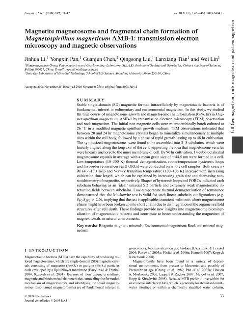 Magnetite magnetosome and fragmental chain formation of ...