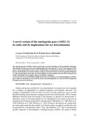 in cattle and its implications for sex determination