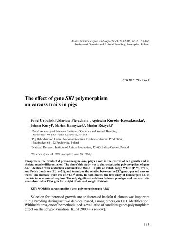 The effect of gene SKI polymorphism on carcass traits in pigs