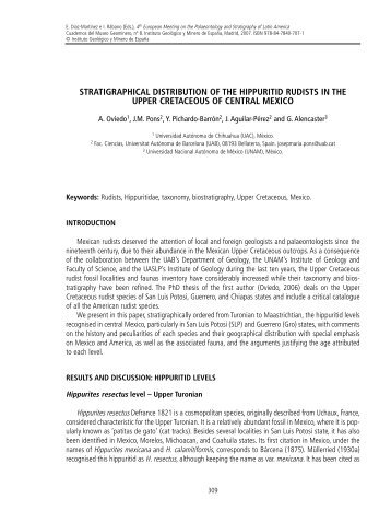 stratigraphical distribution of the hippuritid rudists in the upper ...