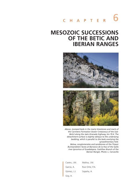 mesozoic successions of the betic and iberian ranges - Instituto ...