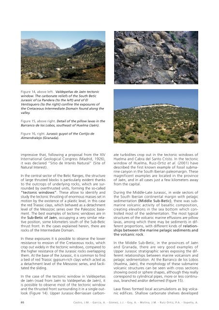 mesozoic successions of the betic and iberian ranges - Instituto ...