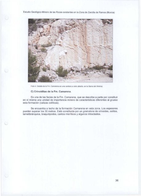 Documento Asociado 1 (PDF) - Instituto GeolÃ³gico y Minero de ...