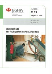 BGI-563.pdf - Autohaus