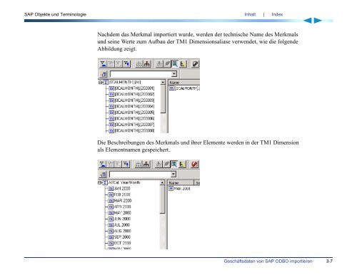 Applix TM1 TurboIntegrator Handbuch