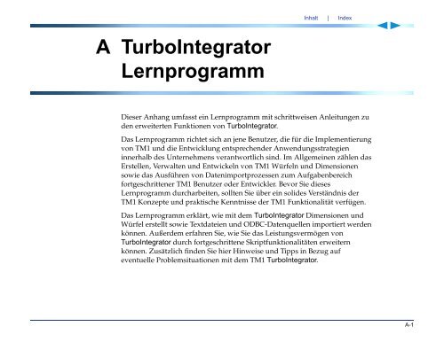 Applix TM1 TurboIntegrator Handbuch