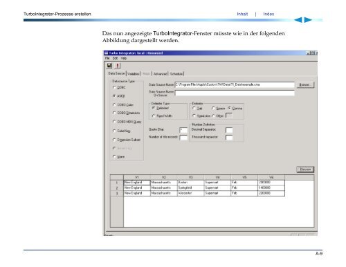 Applix TM1 TurboIntegrator Handbuch