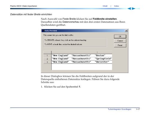 Applix TM1 TurboIntegrator Handbuch