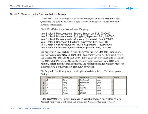 Applix TM1 TurboIntegrator Handbuch