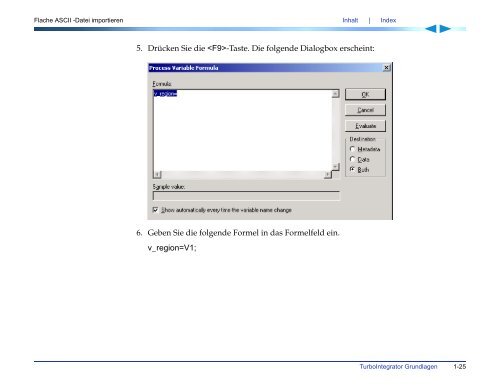 Applix TM1 TurboIntegrator Handbuch