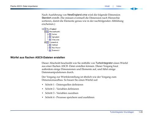 Applix TM1 TurboIntegrator Handbuch