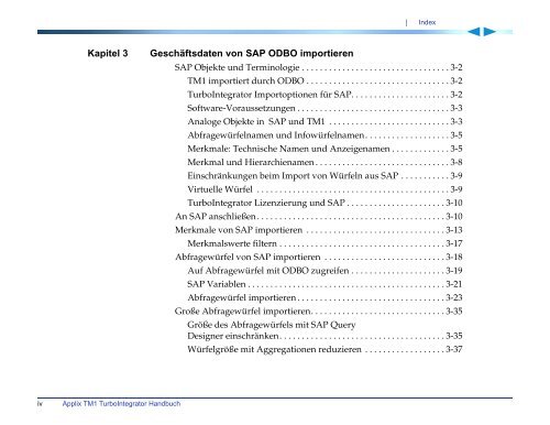 Applix TM1 TurboIntegrator Handbuch