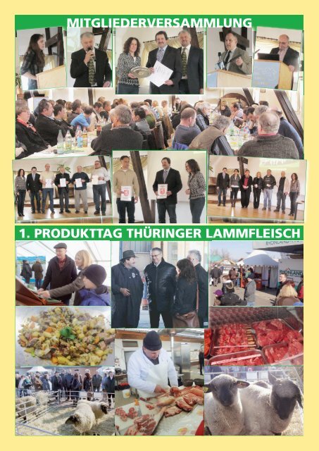 Mitteilungen 1/2013 - Landesverband Thüringer Schafzüchter eV