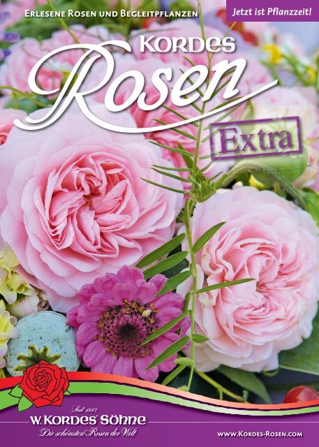 Erlesene Rosen und Begleitpflanzen Jetzt ist ... - Kordes Rosen