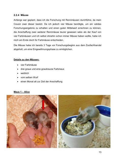 Studie über das Lernverhalten von Mäusen - pro.kphvie.at