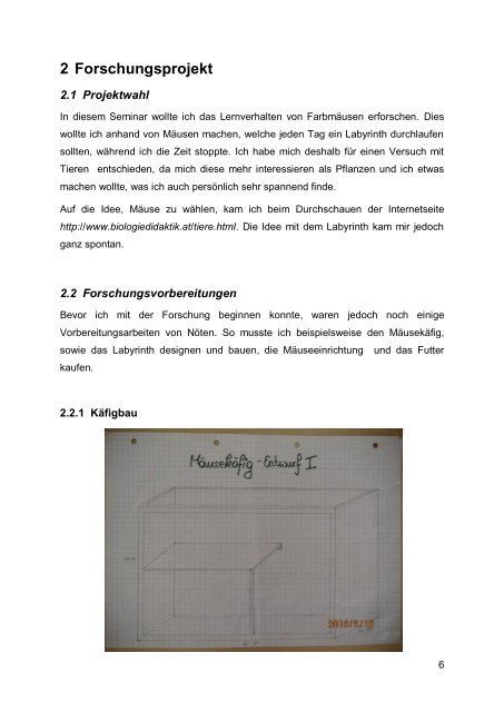 Studie über das Lernverhalten von Mäusen - pro.kphvie.at