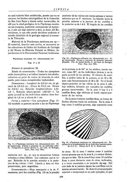 NÃºmero 10-12 - Instituto de Historia de la Medicina y de la Ciencia ...