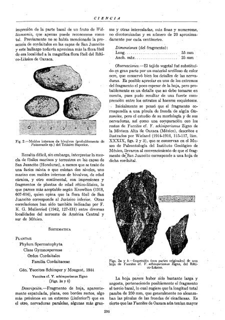 NÃºmero 11-12 - Instituto de Historia de la Medicina y de la Ciencia ...