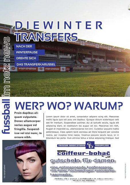 fussball im netz -MusterAusgabe 2014 Februar  Nr.1