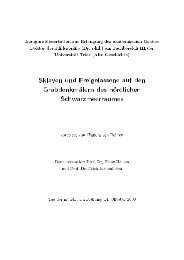 Dokument 1.pdf - OPUS-Datenbank