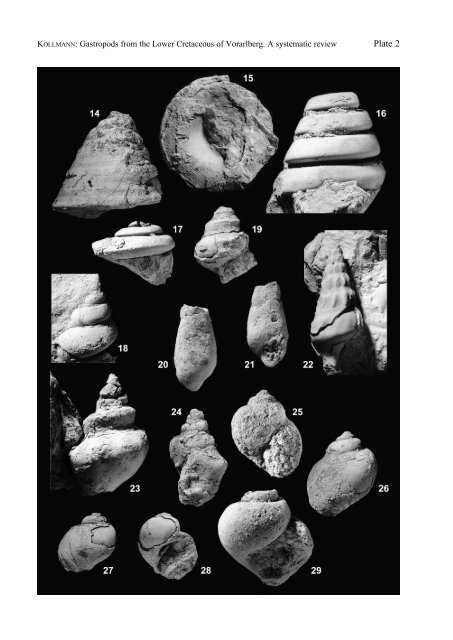Gastropods from the Lower Cretaceous of Vorarlberg, Austria. A ...
