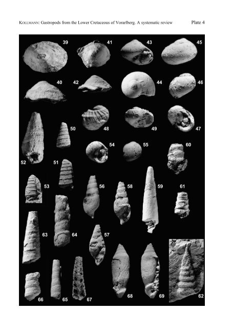 Gastropods from the Lower Cretaceous of Vorarlberg, Austria. A ...