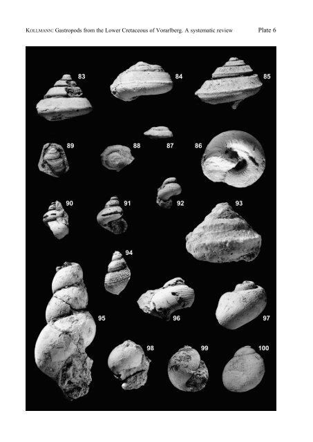 Gastropods from the Lower Cretaceous of Vorarlberg, Austria. A ...