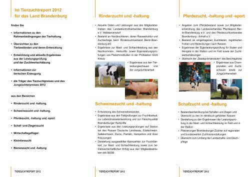 Faltblatt Tierzuchtreport 2012_Internetversion.pdf - LELF